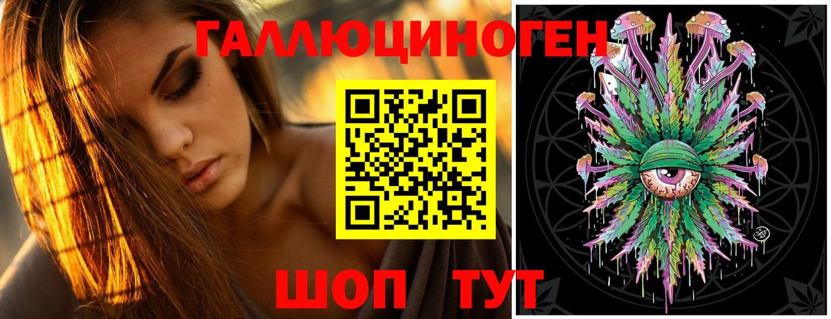Галлюциногенные грибы Psilocybine cubensis Ржев