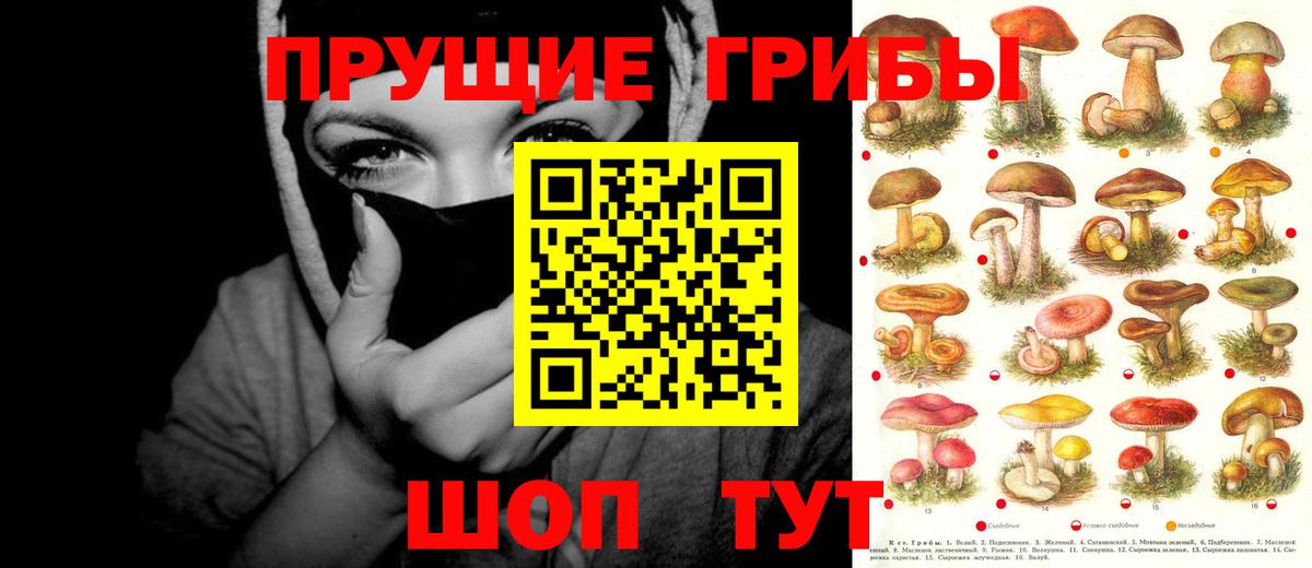 Псилоцибиновые грибы Psilocybine cubensis  Вход с VPN  Ржев 